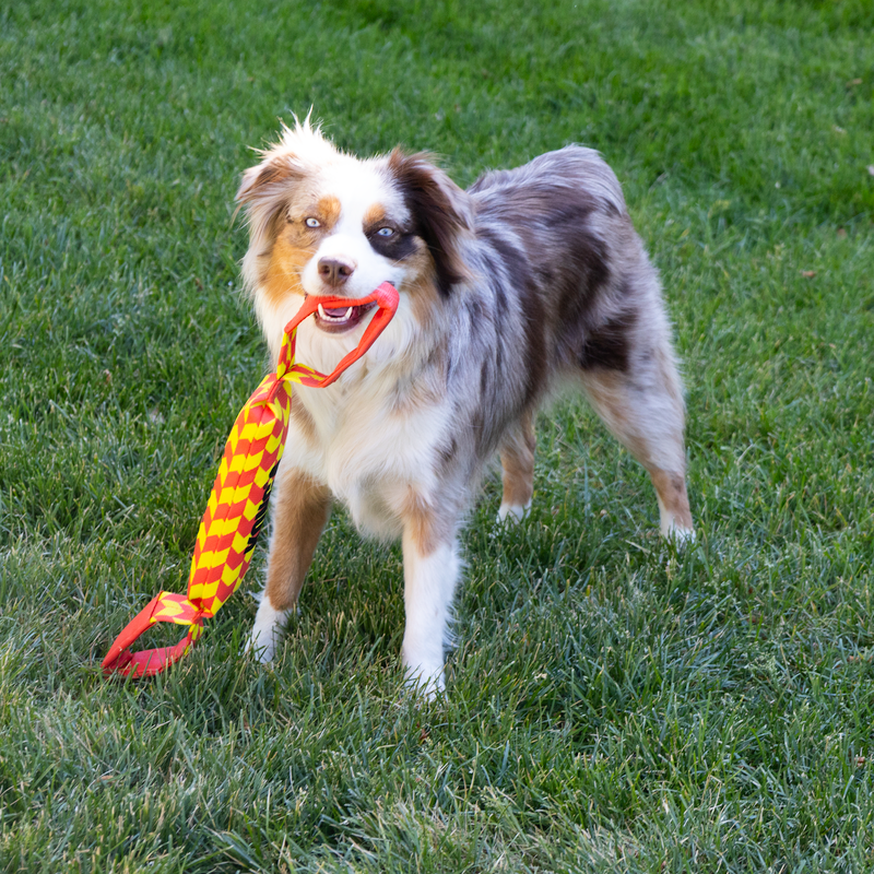KONG Maxx Tug