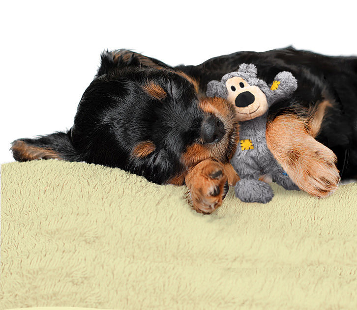 KONG Wild Knots Assorti Bears XS