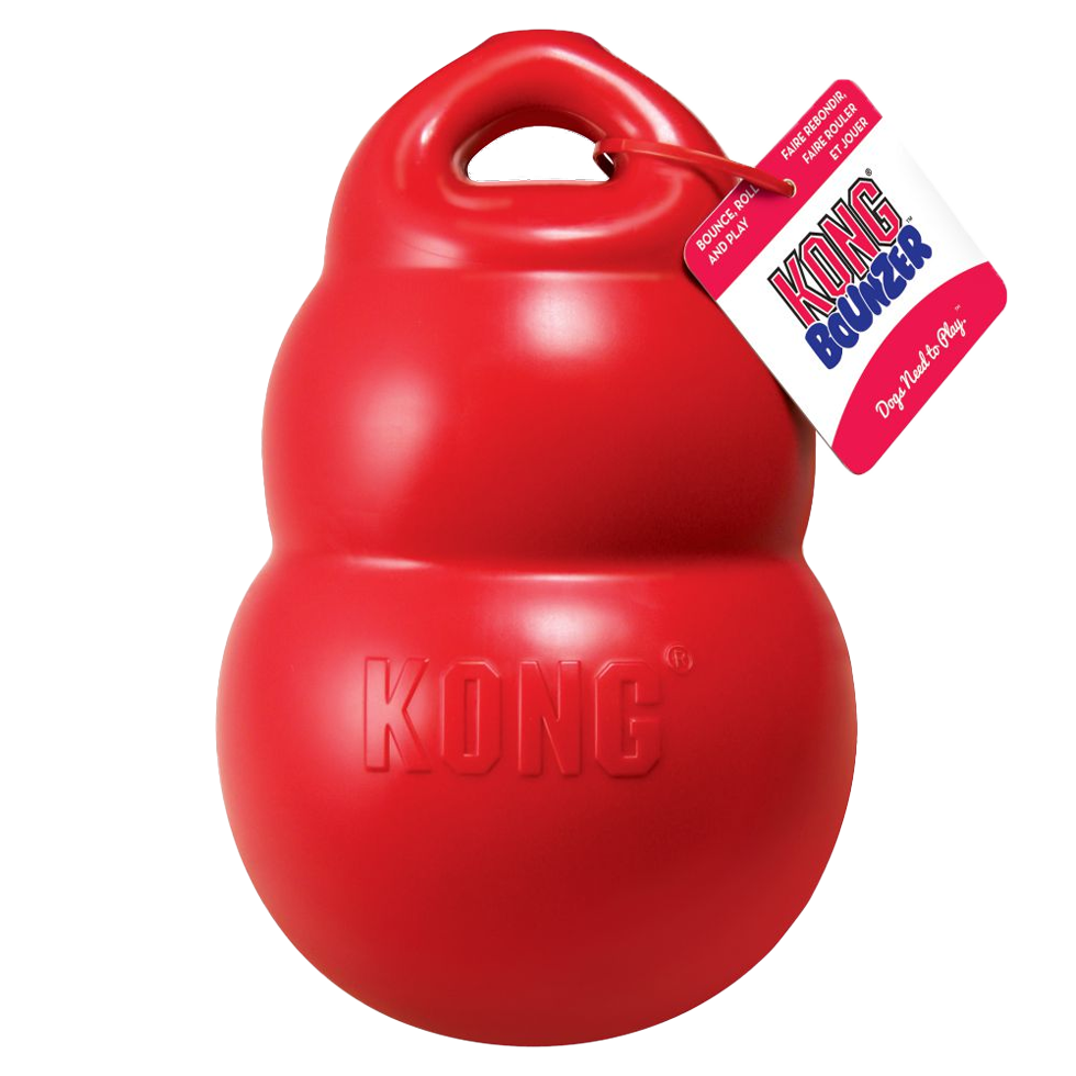 KONG Bounzer Large L