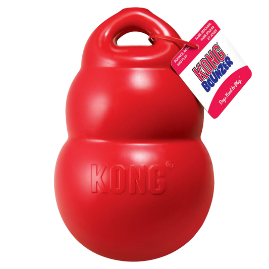 KONG Bounzer Large L