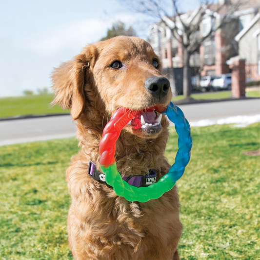 KONG Twistz Ring S