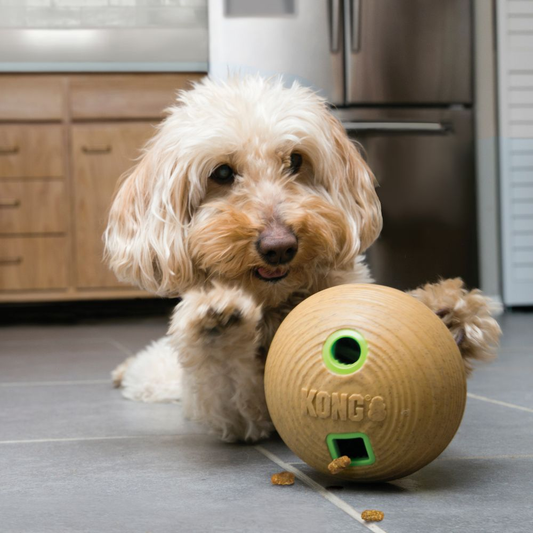 KONG Bamboo Feeder Dumbbell