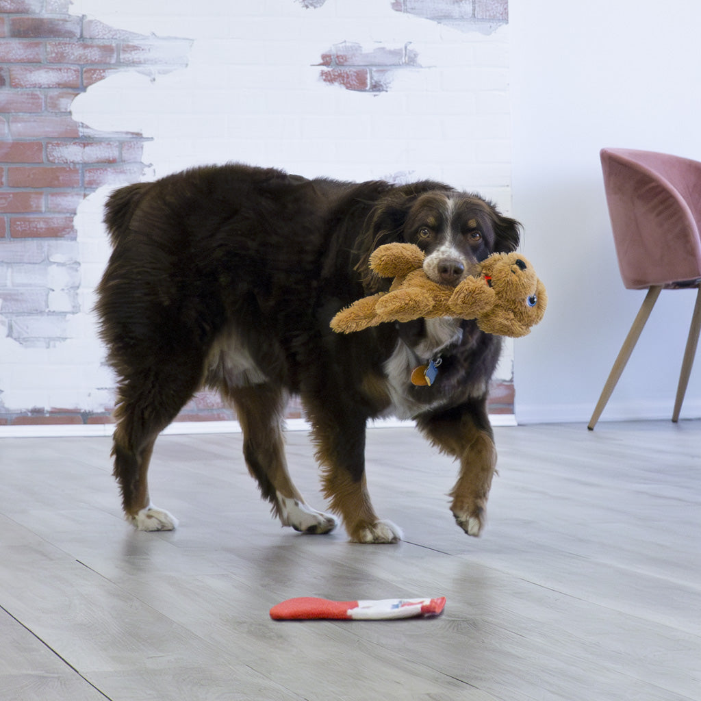 KONG Comfort Pups Goldie M