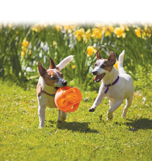 KONG Jumbler Ball Assorti M/L