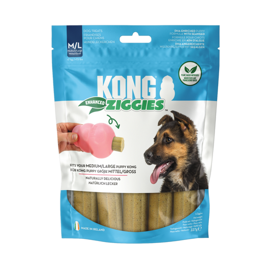 KONG Enhanced Ziggies Puppy M/L
