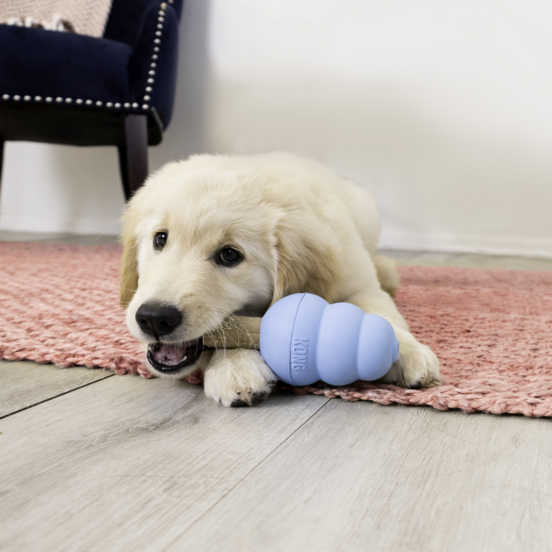 KONG Enhanced Ziggies Puppy M/L