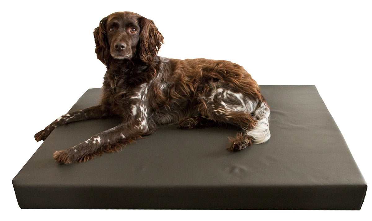 HD Dog Bed L