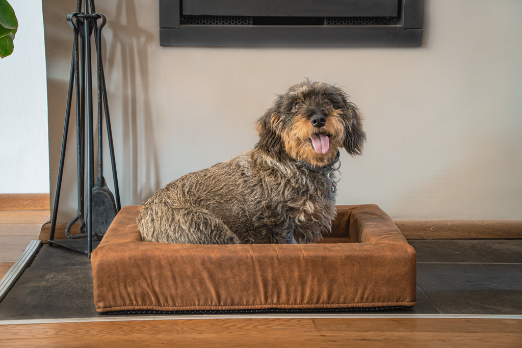 Let's Sleep Comfy Cushion Hondenmand M Cognac