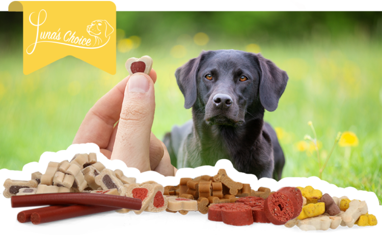 Luna's Choice Trainer Mix Chicken strips