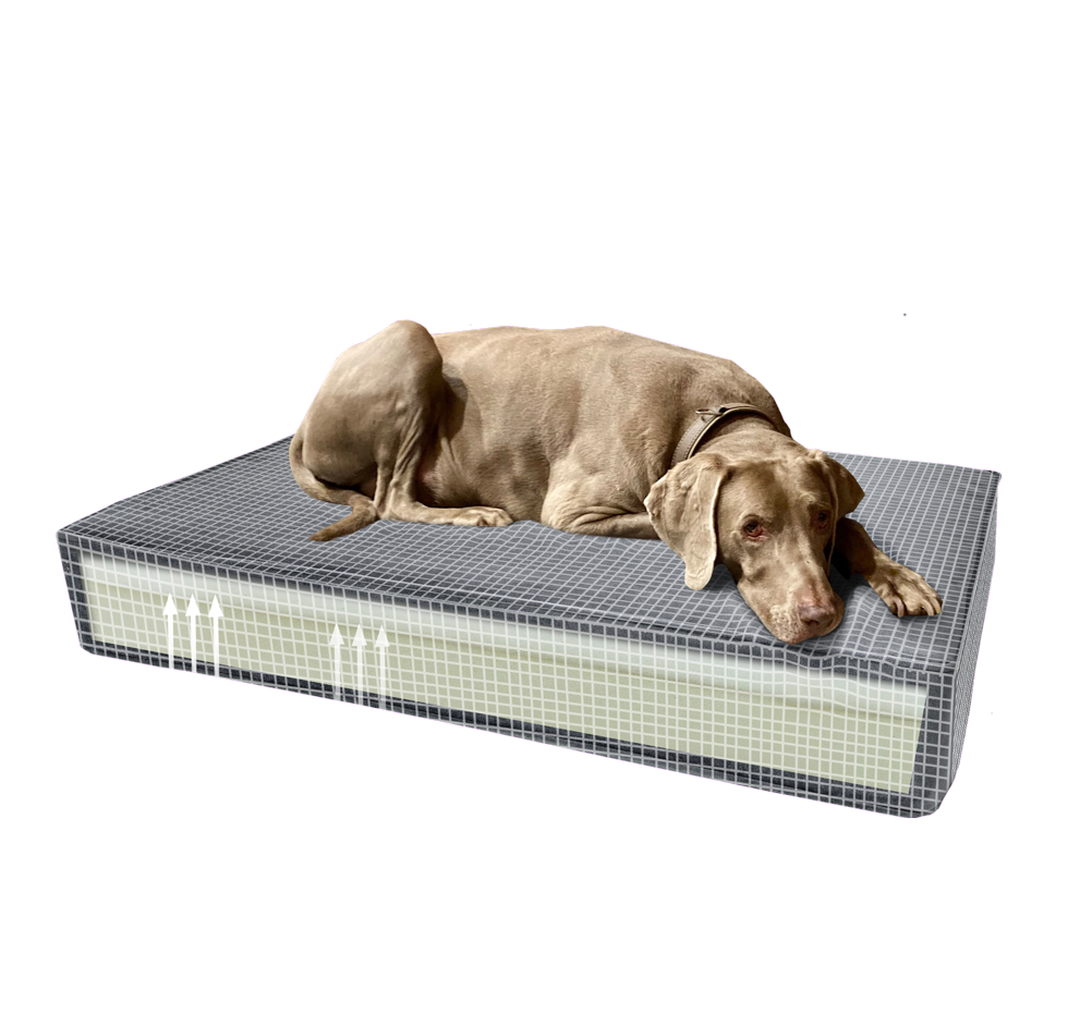 Madison Orthopedisch Kussen Velvet Geel S