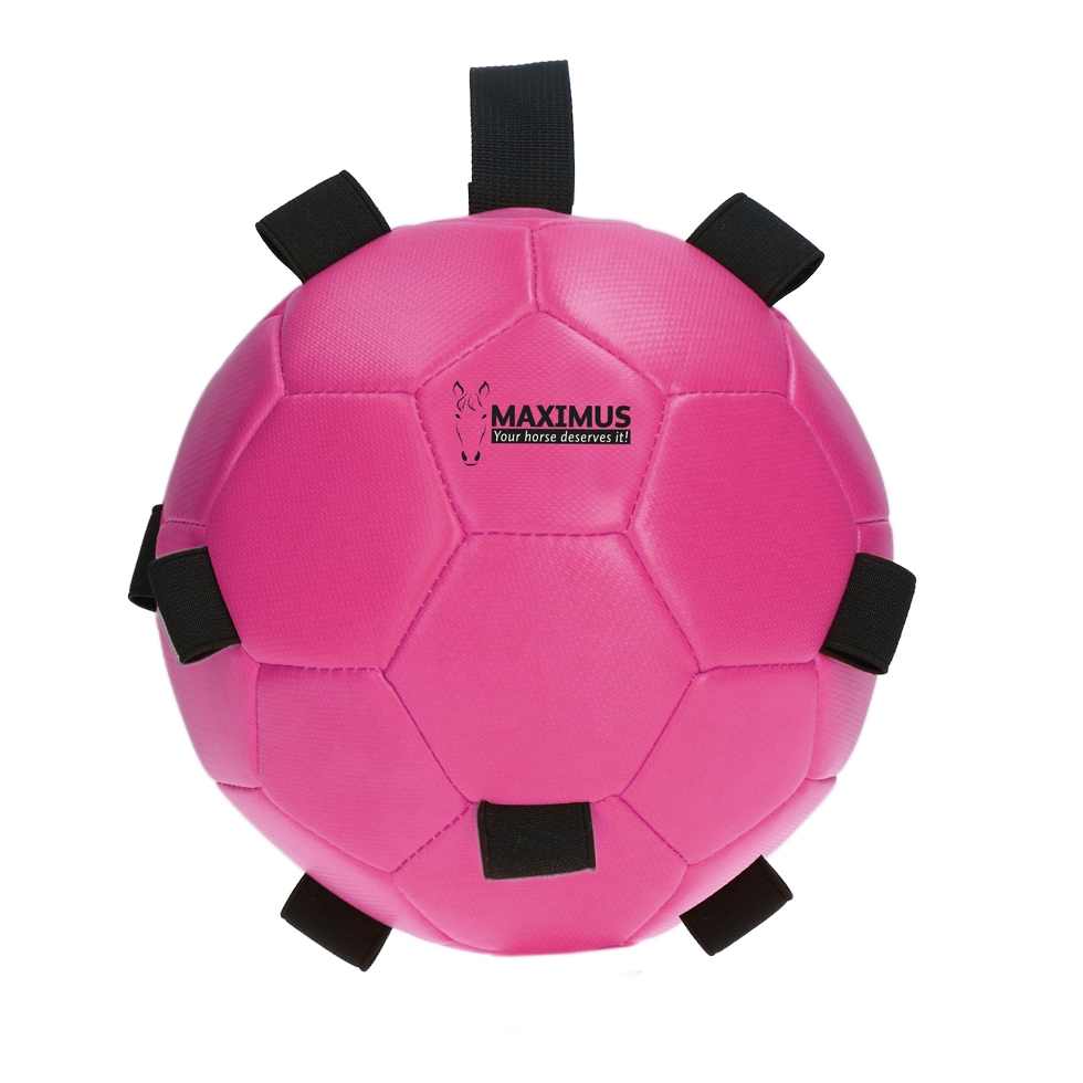 Excellent Horse Fun Play Ball Roze