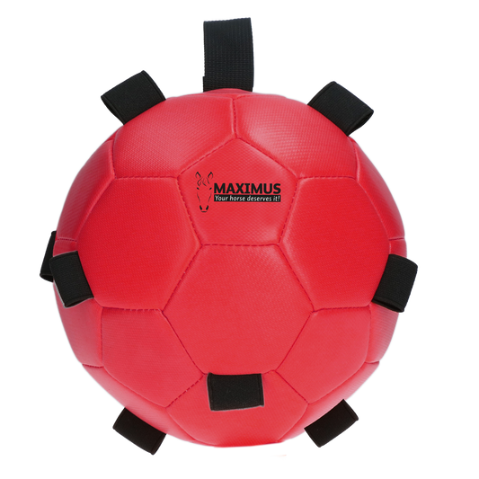 Excellent Horse Fun Play Ball Rood
