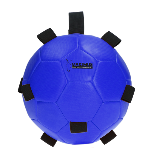 Excellent Horse Fun Play Ball Blauw