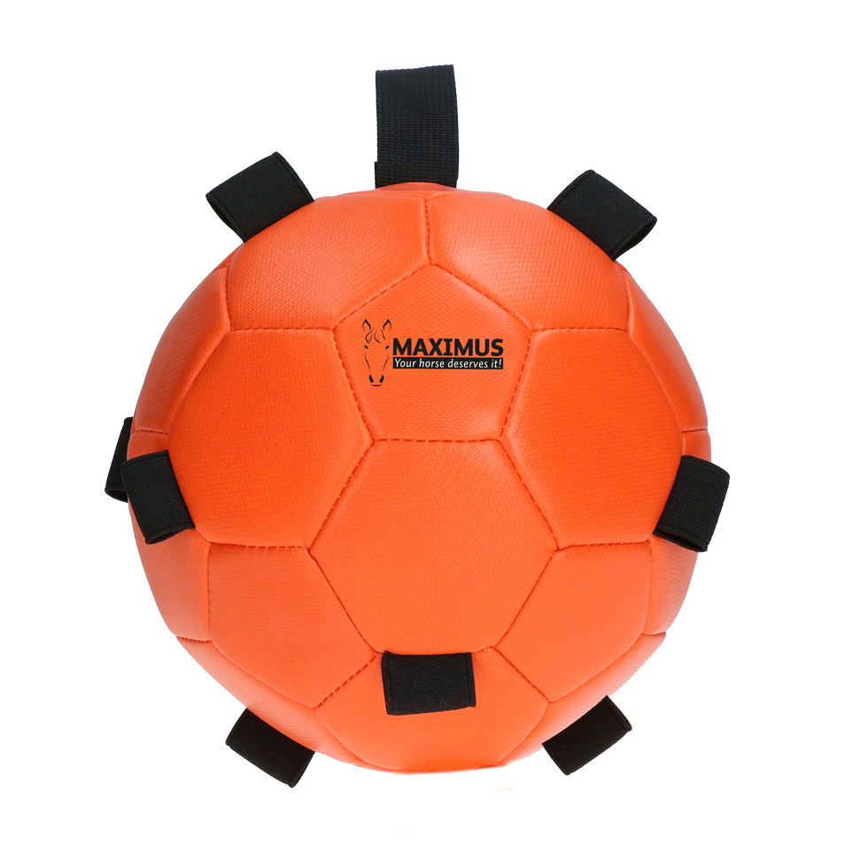 Excellent Horse Fun Play Ball Oranje