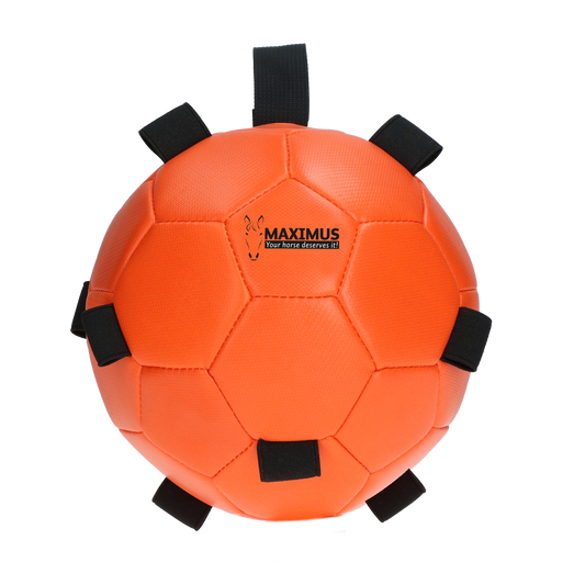 Excellent Horse Fun Play Ball Oranje