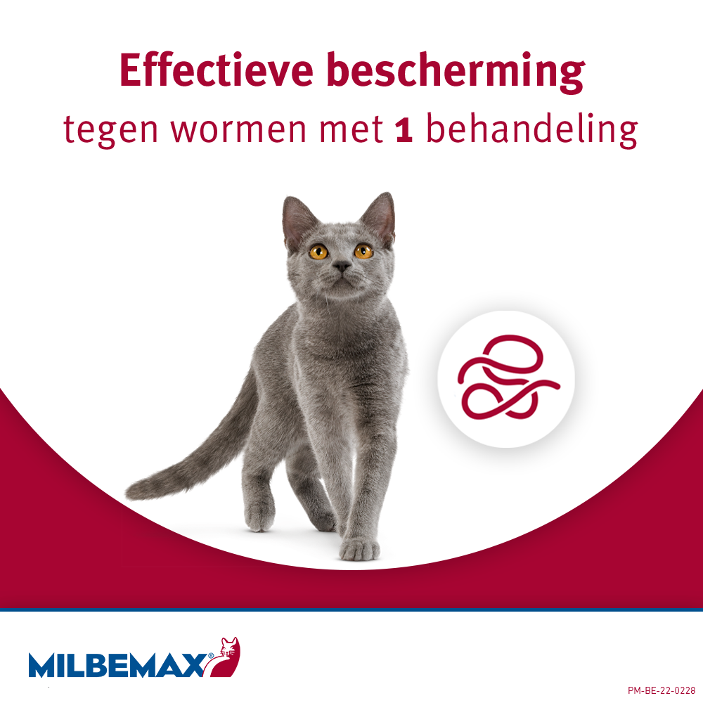 Milbemax Tabletten Kat Groot >2kg 4 tabl.