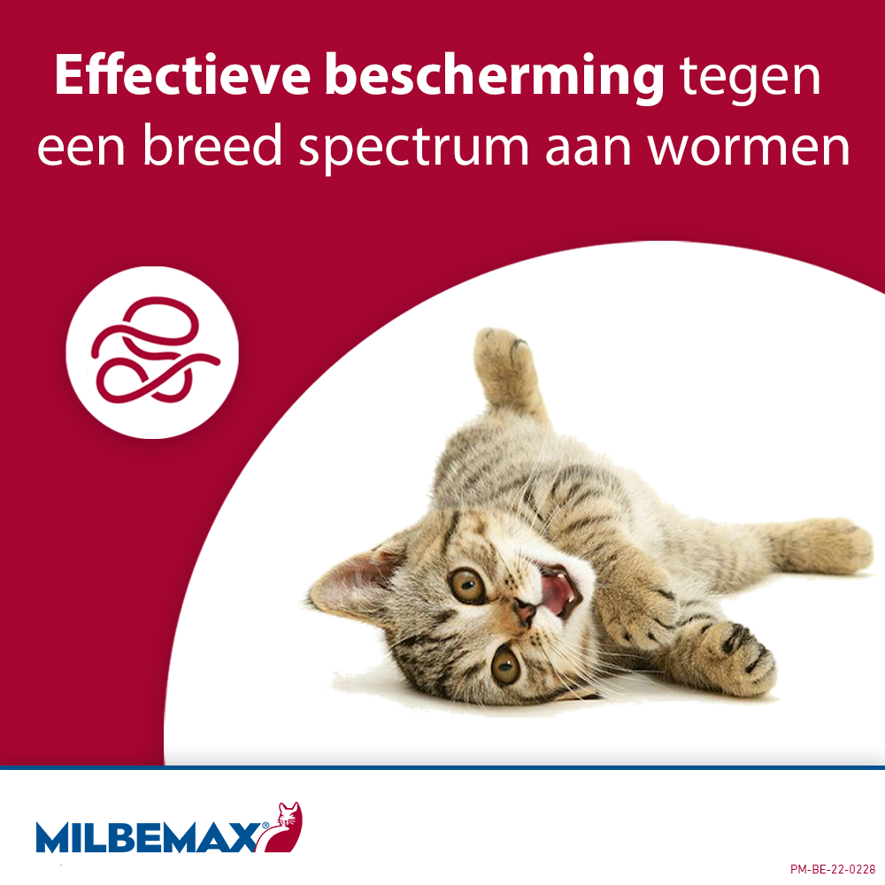 Milbemax Tabletten Kat Groot >2kg 4 tabl.