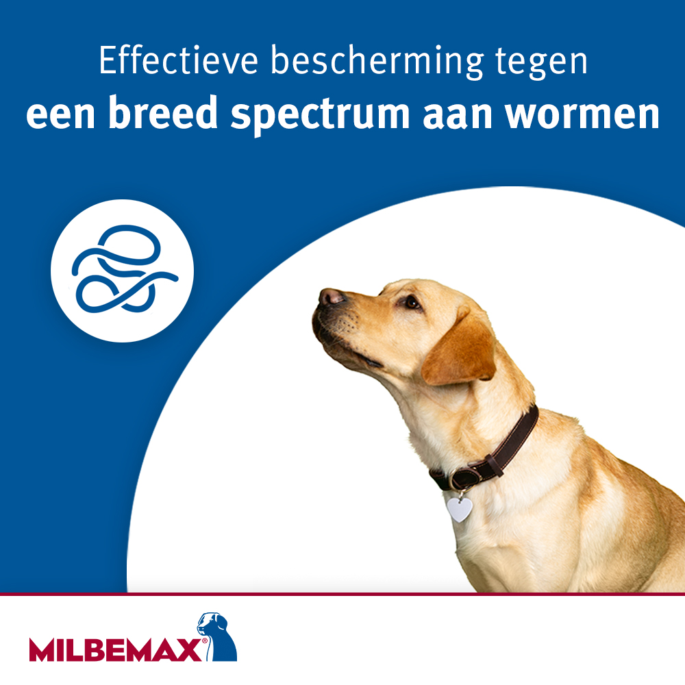 Milbemax Tabletten Puppy/Kleine hond <5kg 2 tabl.