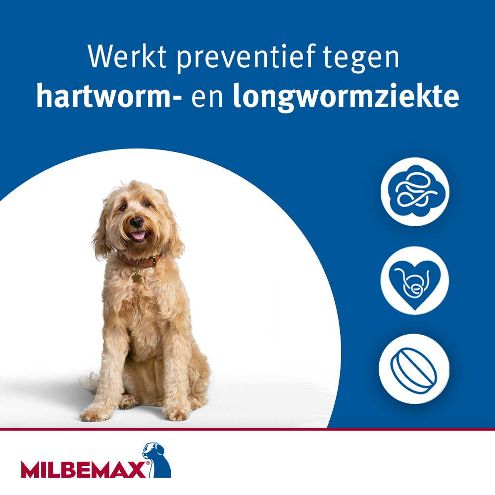 Milbemax Tabletten Hond Groot 5-75kg 2 tabl.