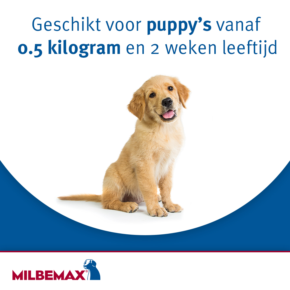 Milbemax Tabletten Hond Groot 5-75kg 4 tabl.