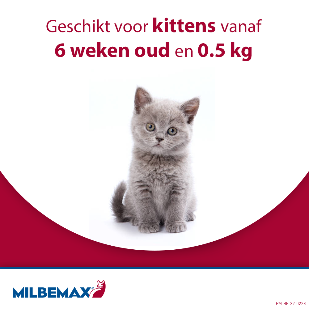 Milbemax Tabletten Kat Groot >2kg 2 tabl.