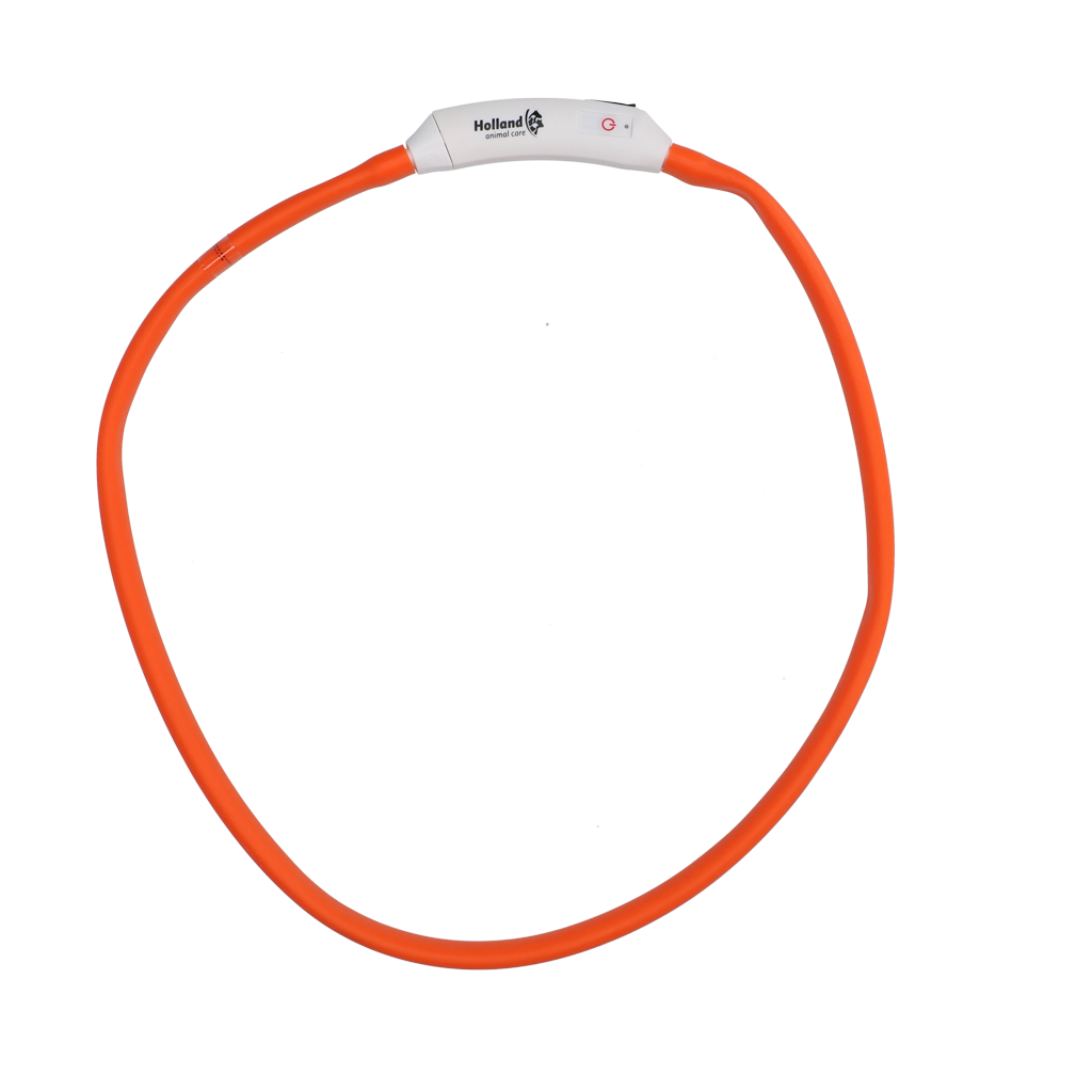 Nightwalk Safety Collar Oranje