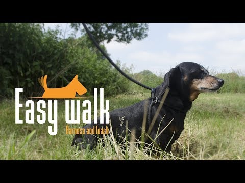 Easy Walk Handmodel Zwart