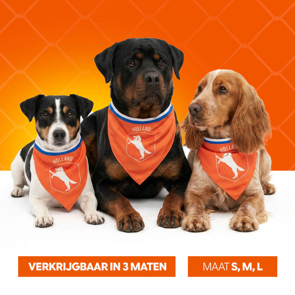Oranje Bandana Holland M