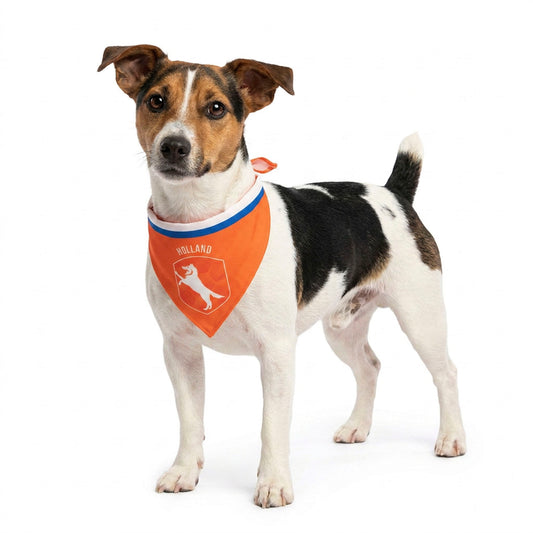 Oranje Bandana Holland S