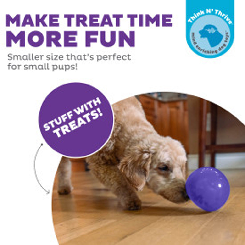 Outward Hound Orbee-Tuff Snoop M Paars