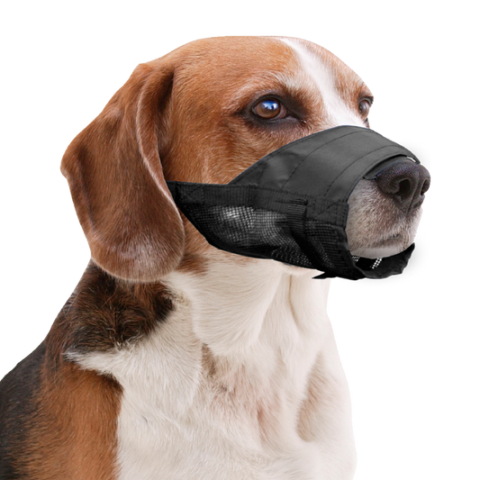 Pawise Adjustable Nylon Muzzle M