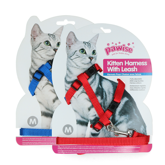 Pawise Kitten Harness With Leash Red/Blue M
