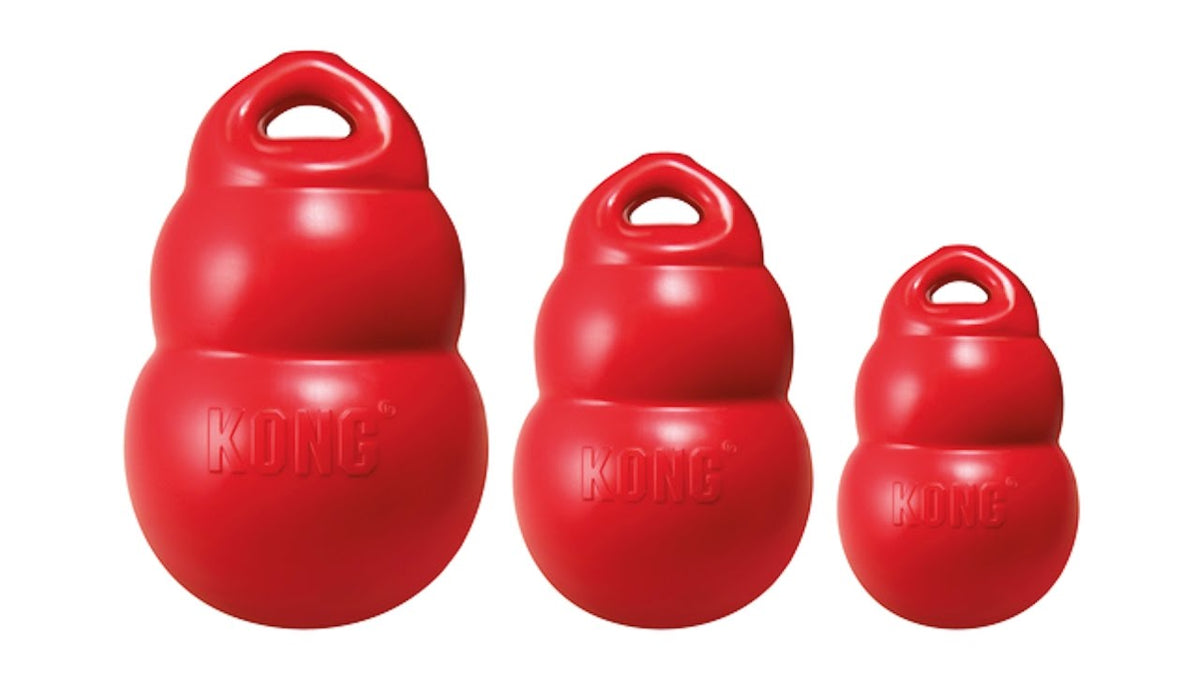 KONG Bounzer Large L