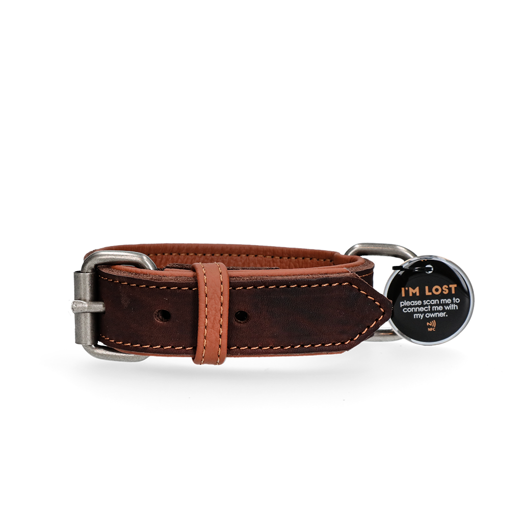 Spotted! Pro Leren Halsband 40 cm - Bruin
