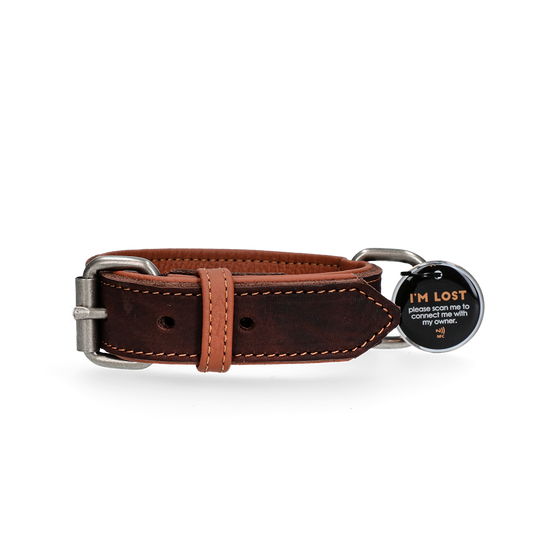 Spotted! Pro Leren Halsband 50 cm - Bruin