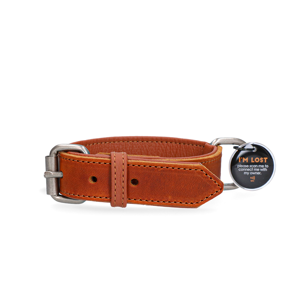 Spotted! Pro Leren Halsband 60 cm - Cognac