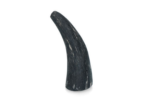 Viking Horn Whole S
