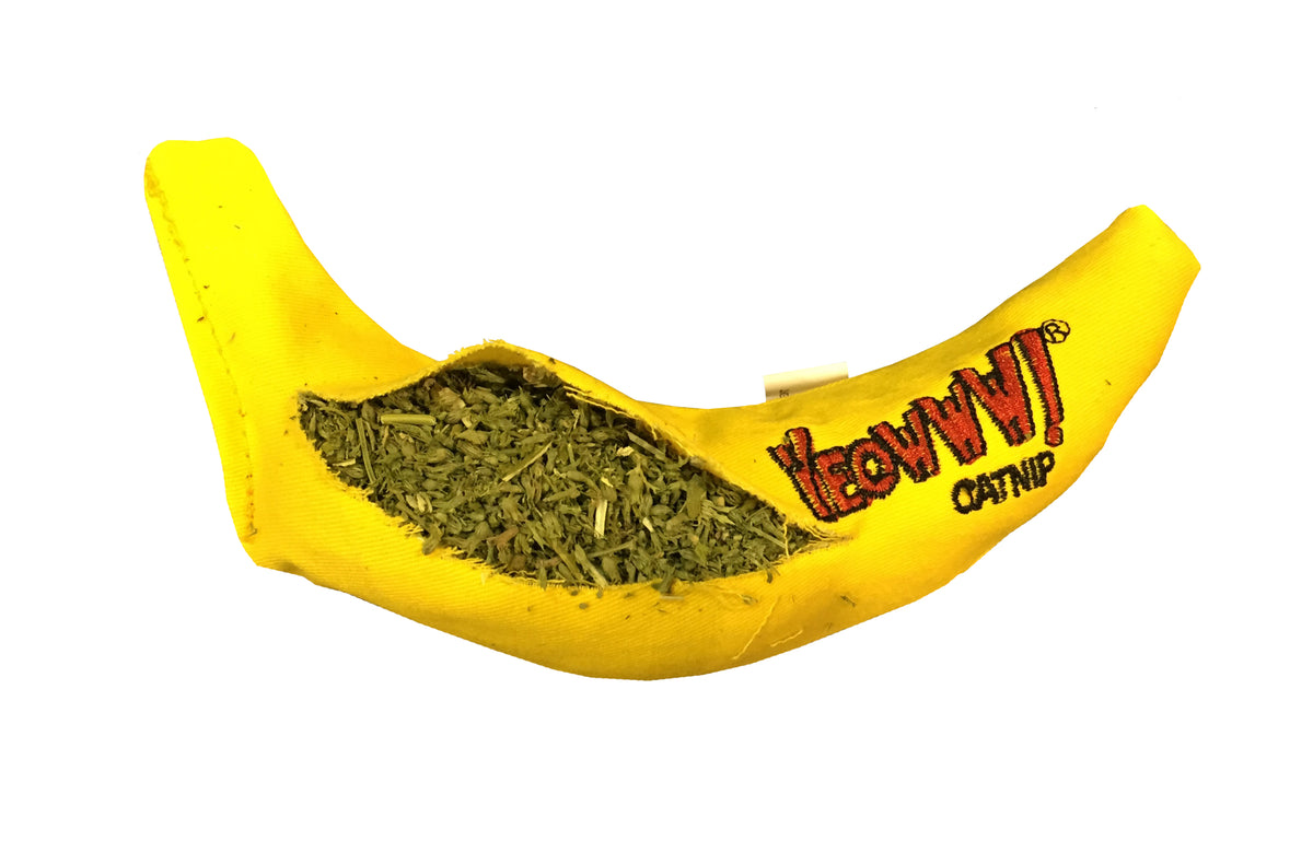 Yeowww! Chicata Banana