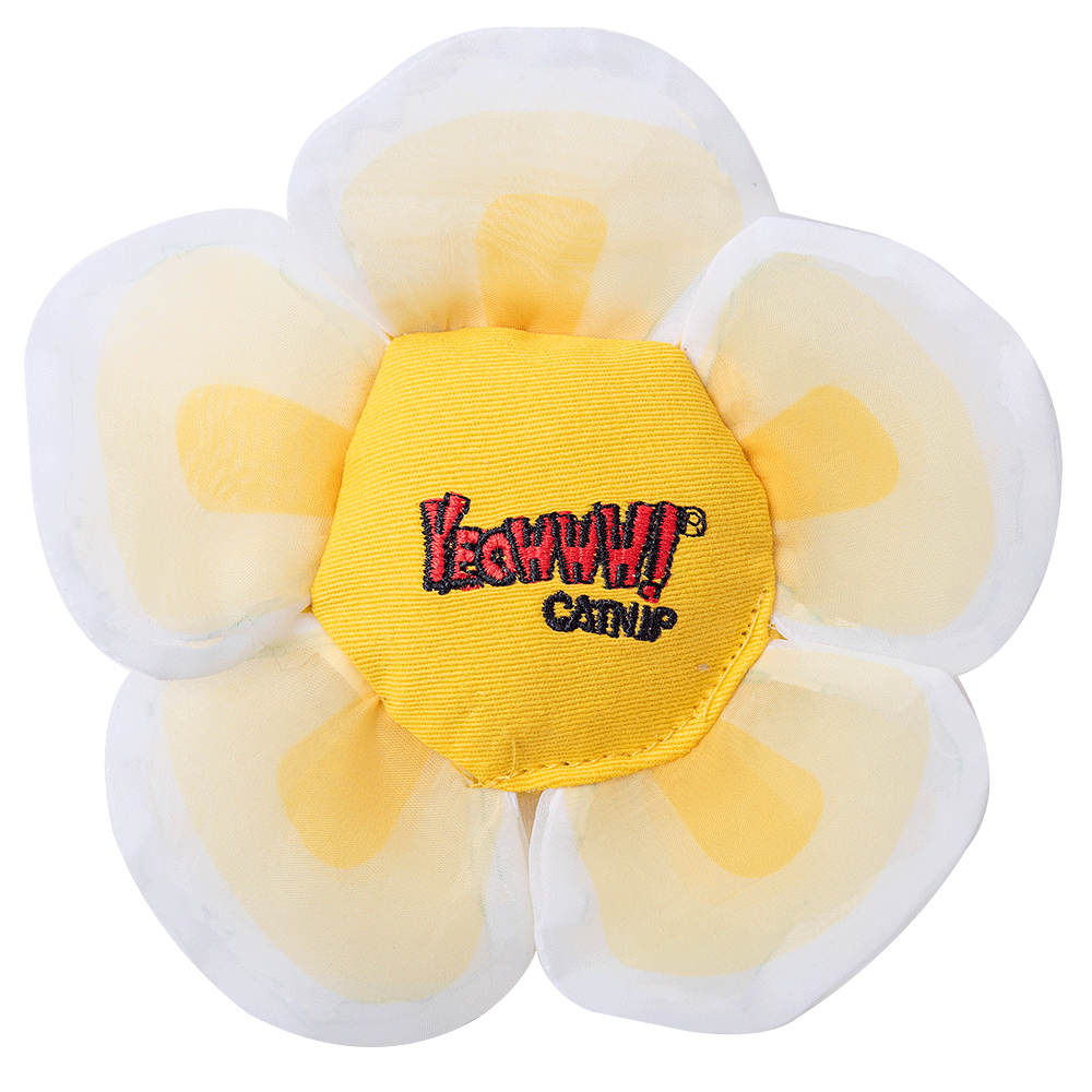 Yeowww! Daisy's Flower Tops White