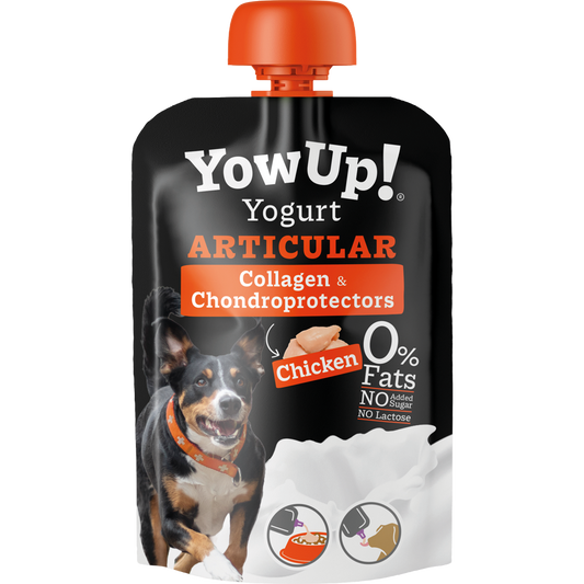YowUp! Yogurt Dogs Articular Chicken