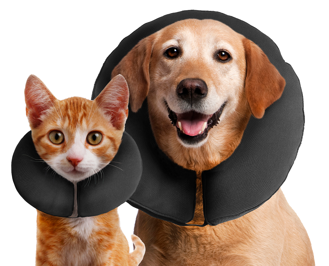 Zenpet ProCollar XL