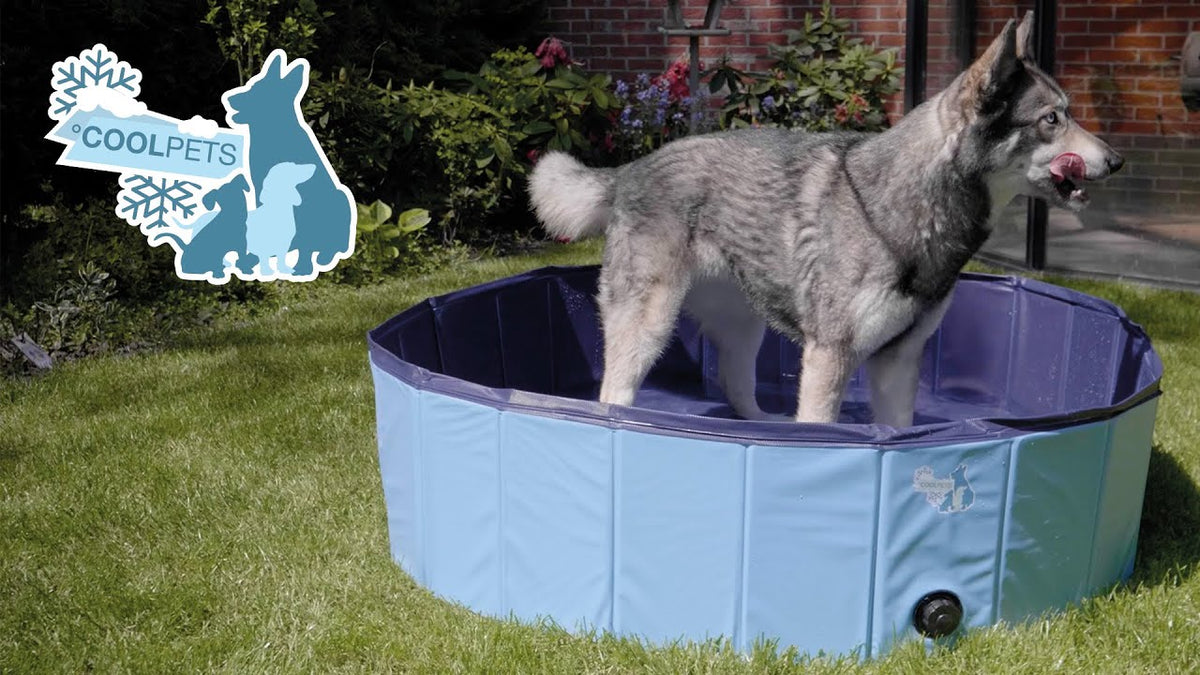 CoolPets Splash Dog Pool ø 80 x 20 cm